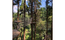 画像をギャラリービューアに読み込む, おうじ