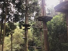 画像をギャラリービューアに読み込む, おうじ