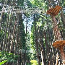 画像をギャラリービューアに読み込む, のせ