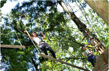 画像をギャラリービューアに読み込む, やまぞえ